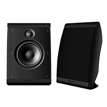 polk dsw 550